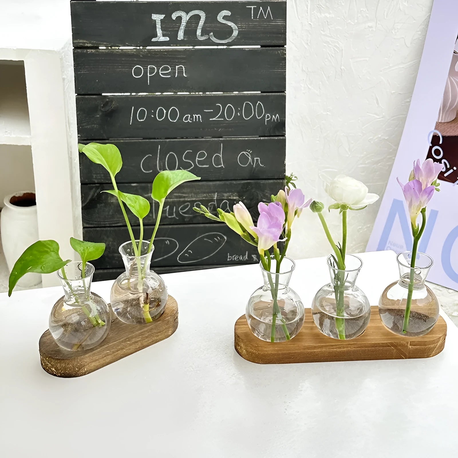 Transparent hydroponic vases in wooden frame holder for plant propagation