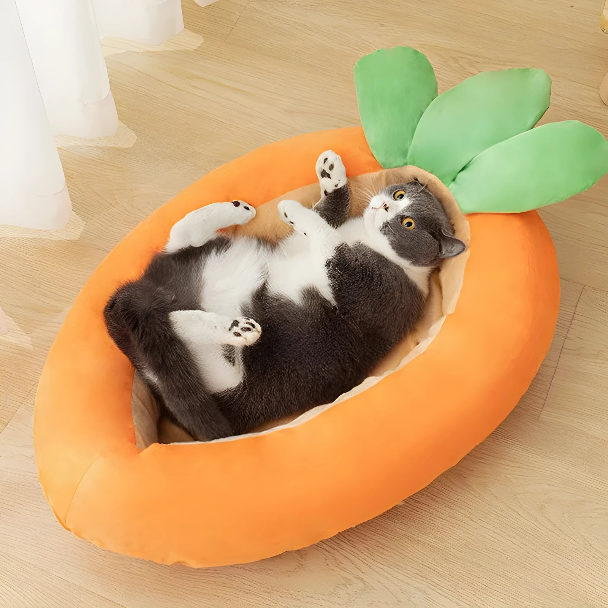 Carrot cartoon design reversible pet mat in cloth material for litter box or feeding area