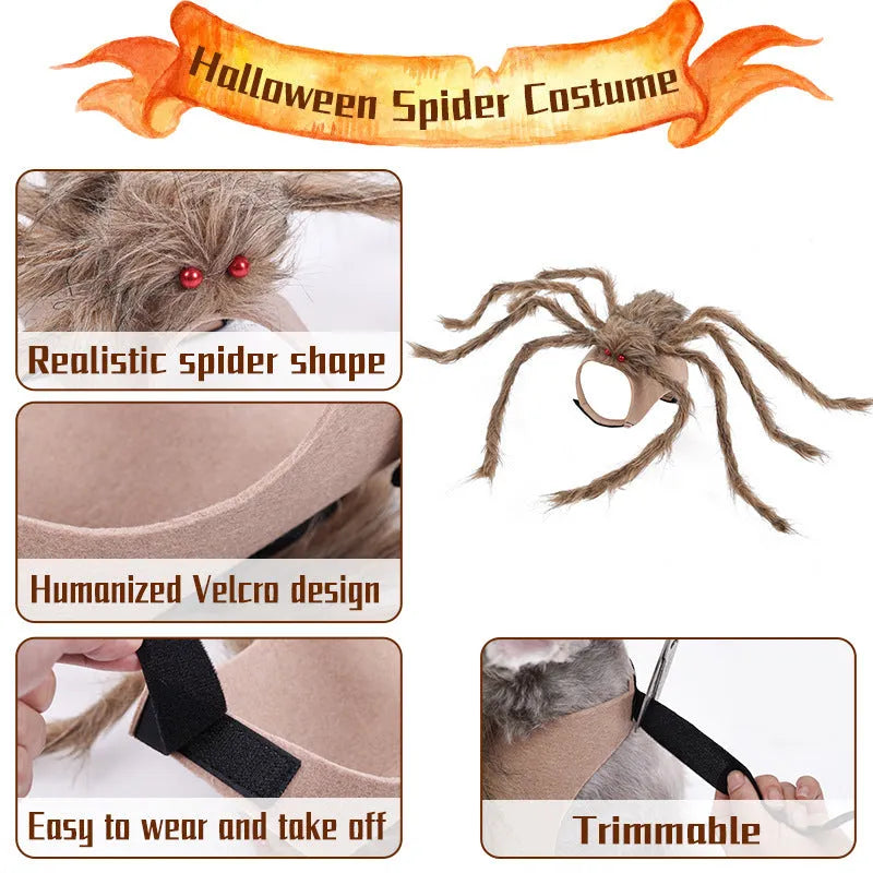 Grey spider Halloween costume on a dog showing the full outfit with multiple legs.