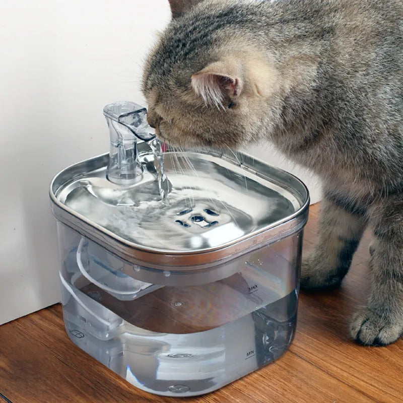 304 stainless steel automatic pet water fountain with 2L capacity and transparent base for multiple pets