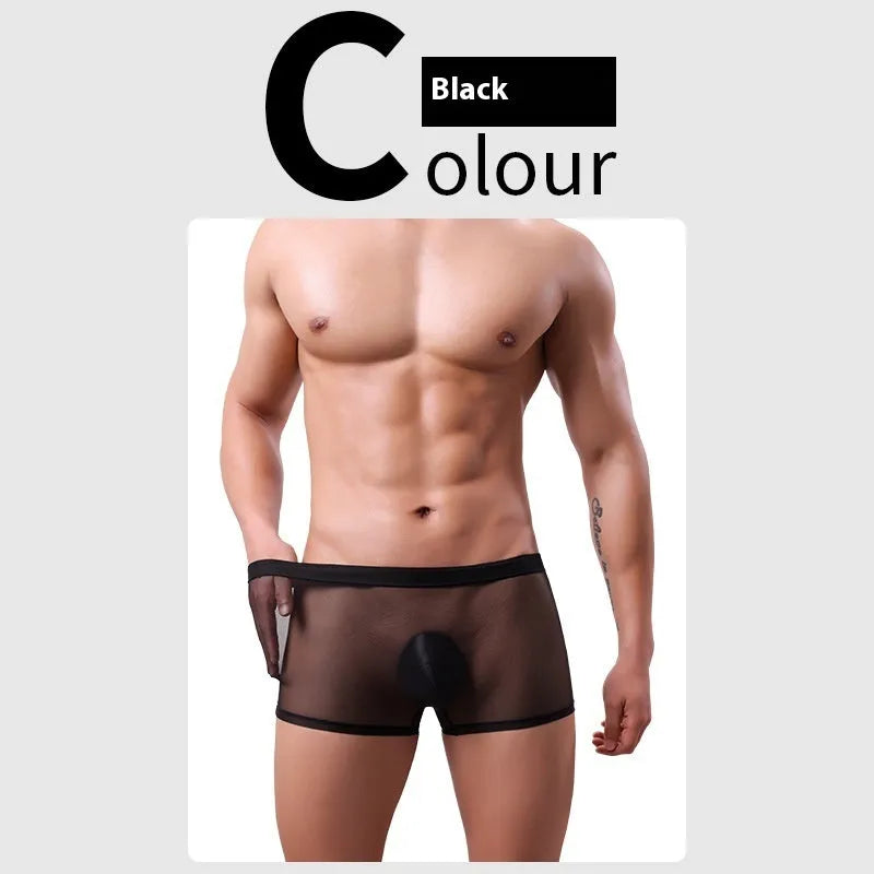 Men's mesh boxer briefs with sheer thin fabric and low waist design in multiple colours
