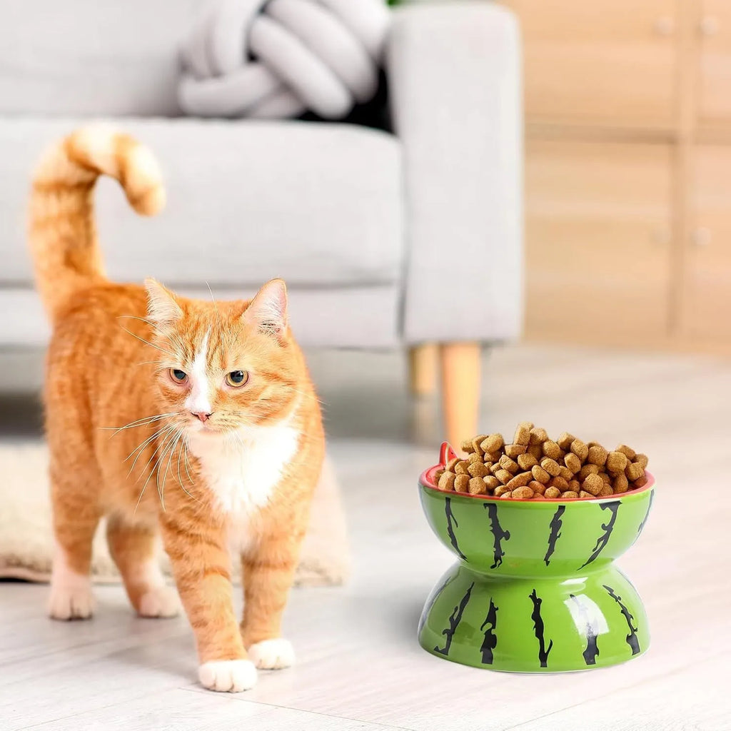 Ceramic raised cat bowl with tilted design in orange, pitaya or watermelon pattern.
