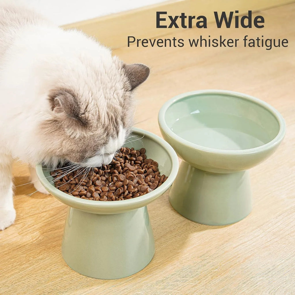 Ceramic elevated cat bowl with wide shallow design in blue, green, pink or white