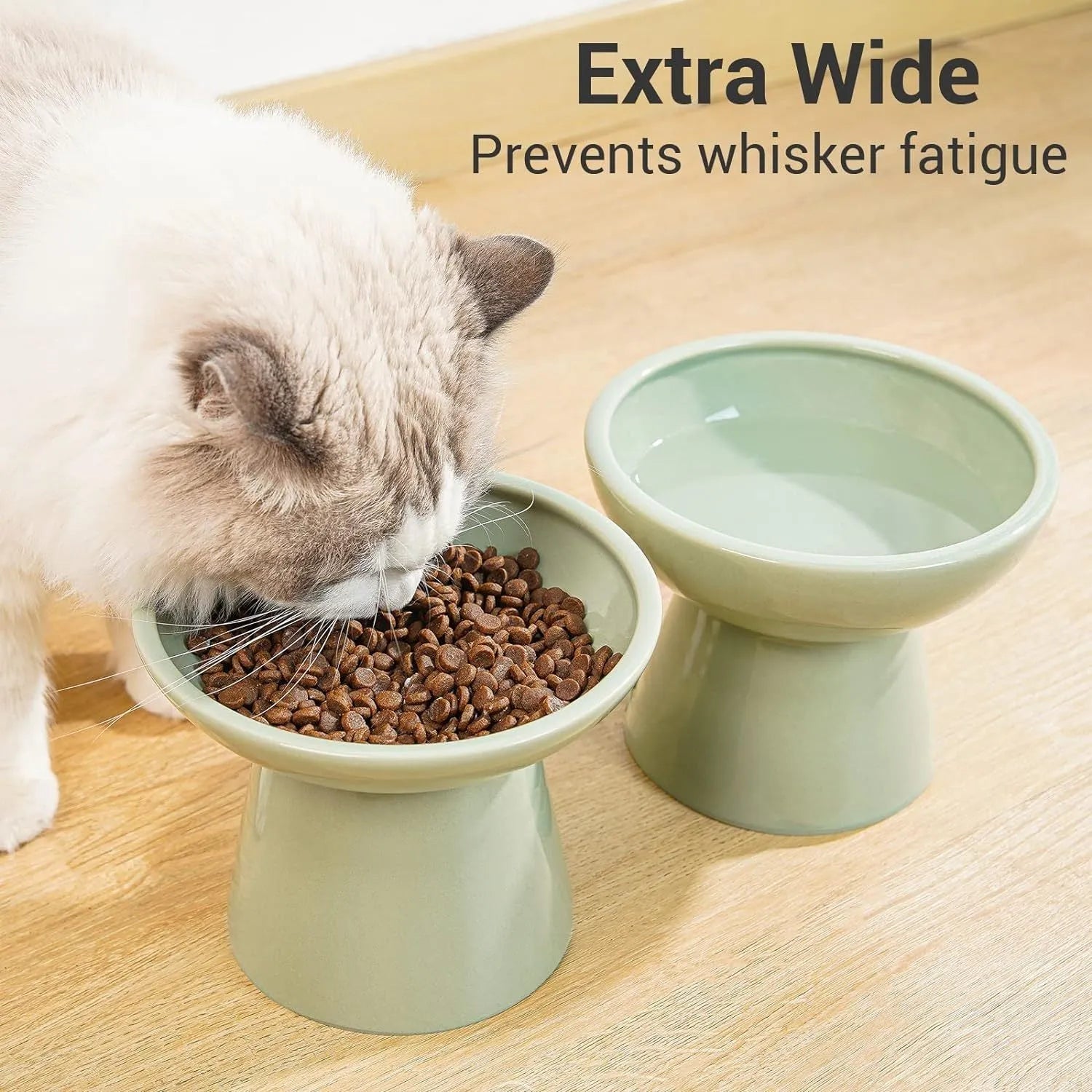 Ceramic elevated cat bowl with wide shallow design in blue, green, pink or white