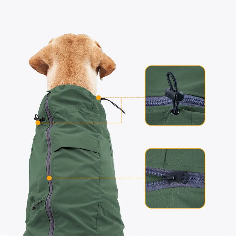 Dog wearing a military green acrylic raincoat with reflective trim and traction hole for lead attachment