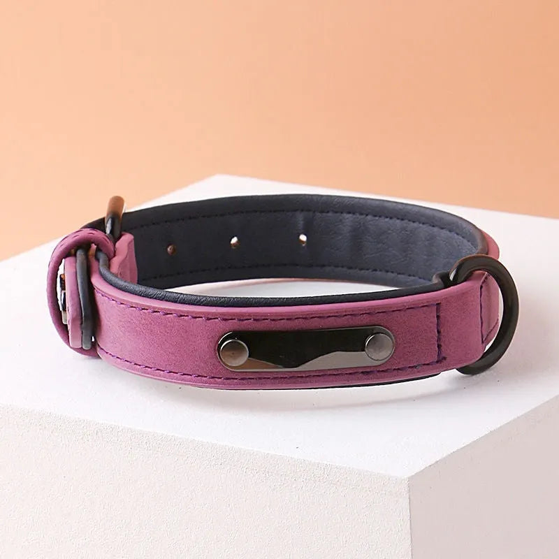 Adjustable dog collar in purple with anti-loss design and durable double-layer construction