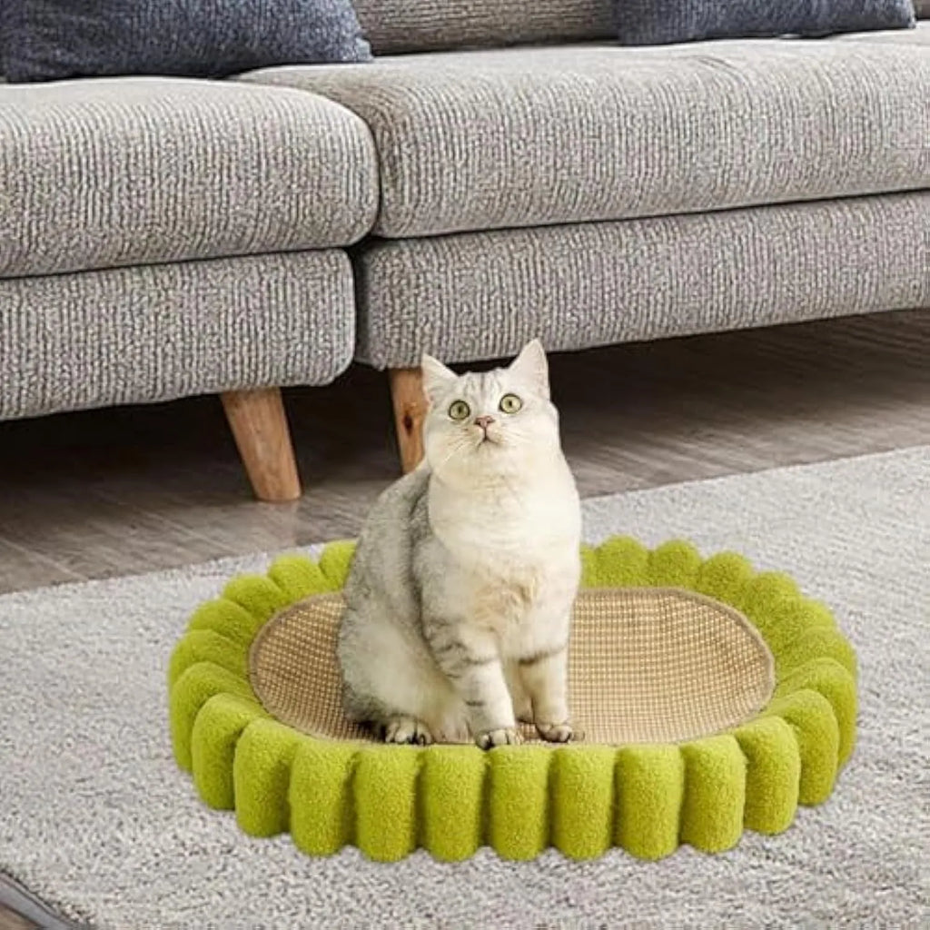 Green oval sisal cat scratching pad that also serves as a cat bed.