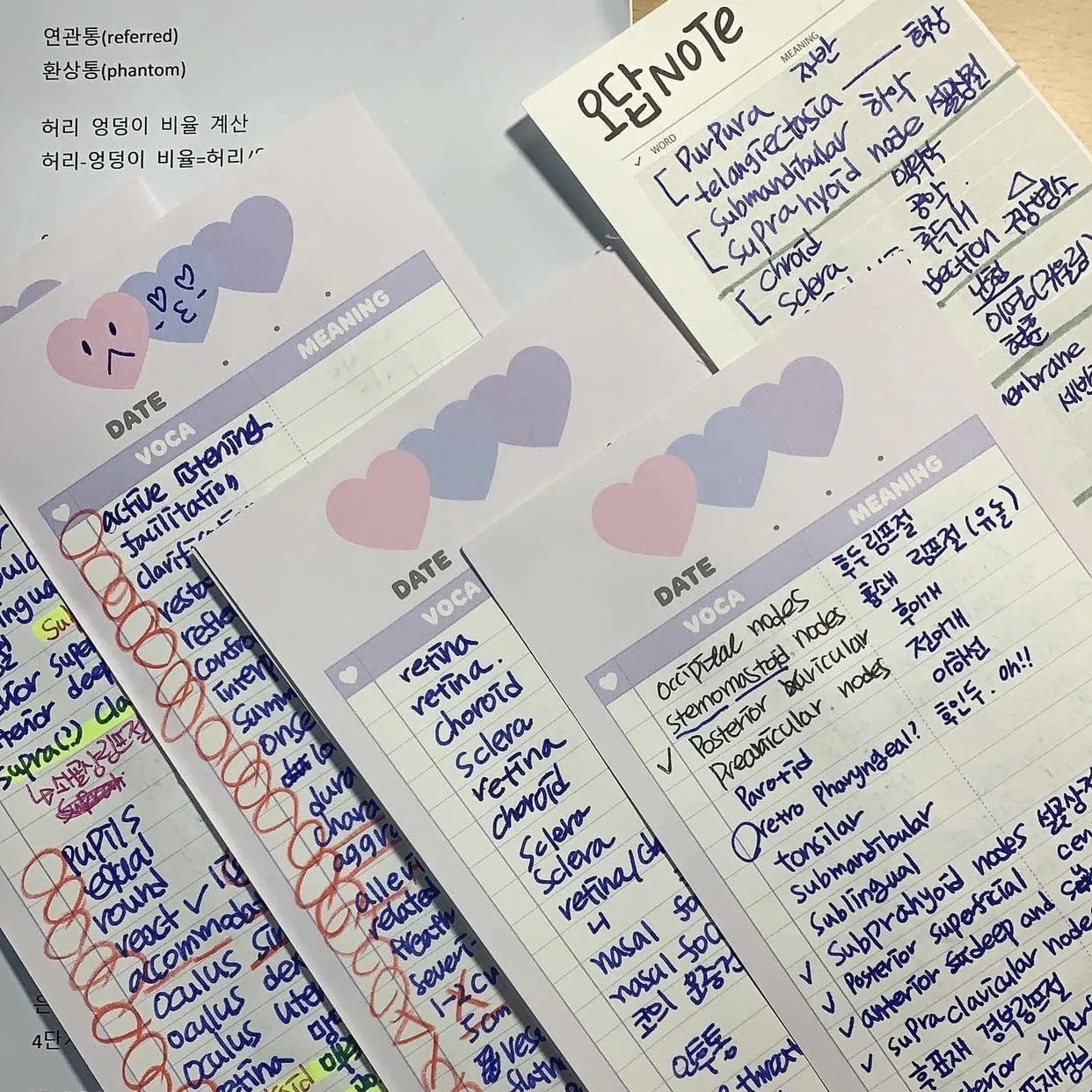 Vertical format English word notepad in half B5 size with double-sided printing and colour-coded cover