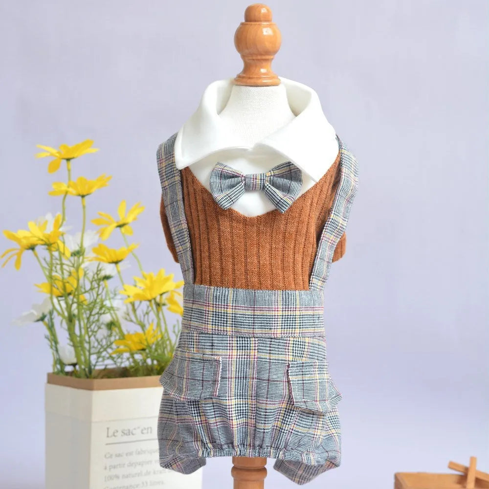 Orange and dark blue cotton dog shirt for small breeds showing front view
