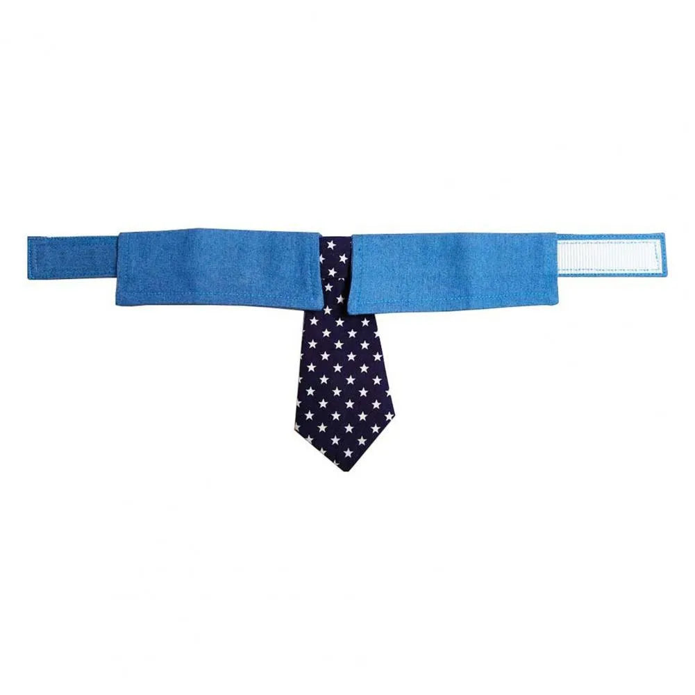 Blue denim dog collar with a star-pattern bow tie, shown with a fastener tape closure.