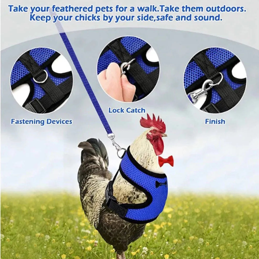 Poultry harness set with chicken vest, matching collar and 110cm traction rope for pet ducks and chickens