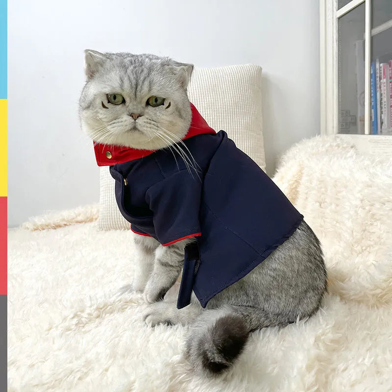 Polygonum cuspidatum Youren coloured hoodie pet costume for cats and dogs photography