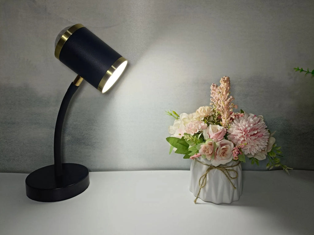 Photography live streaming double-headed lamp with metal holder and wire switch in black finish