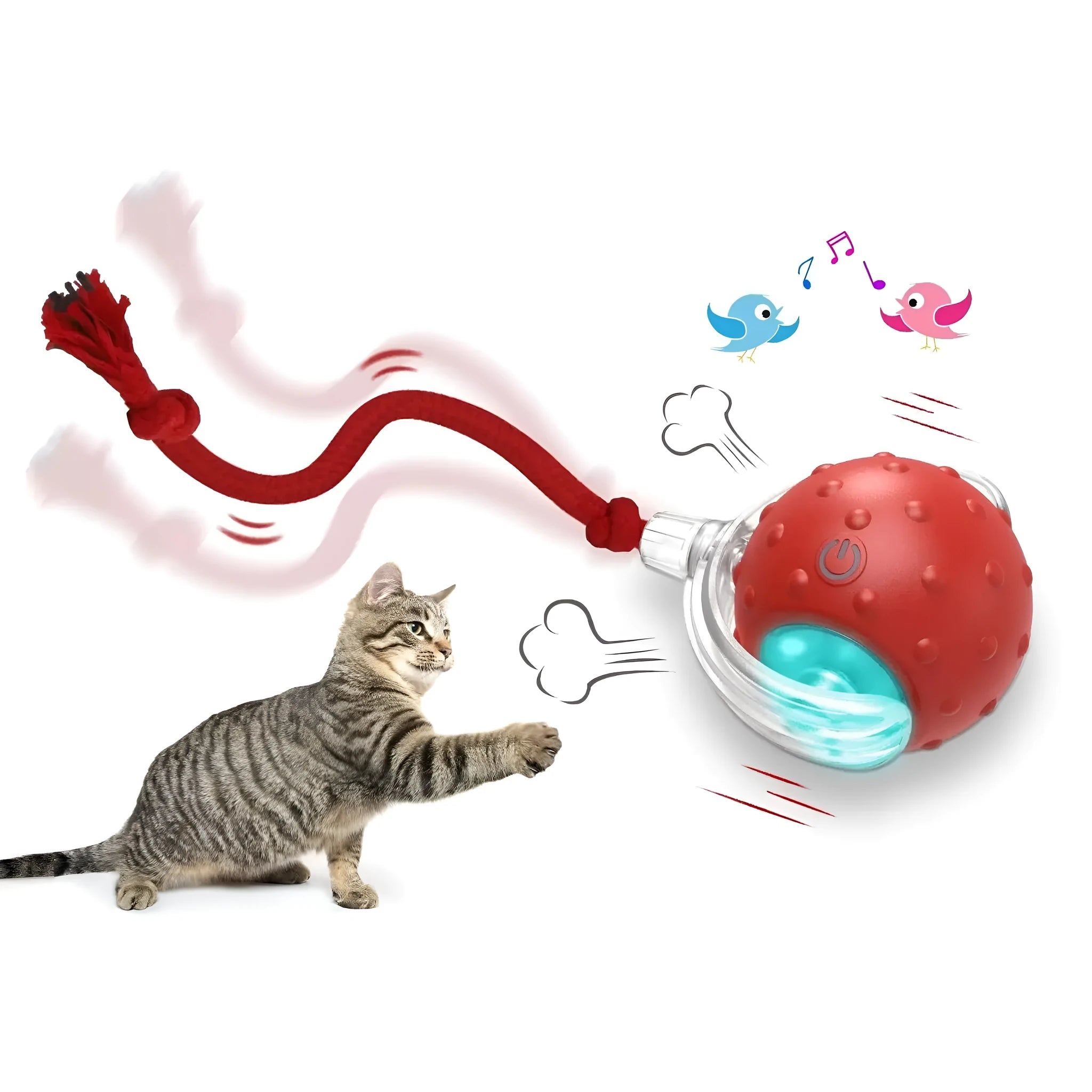 Interactive cat rolling ball toy in grey, green, and red colour options with automatic motion features