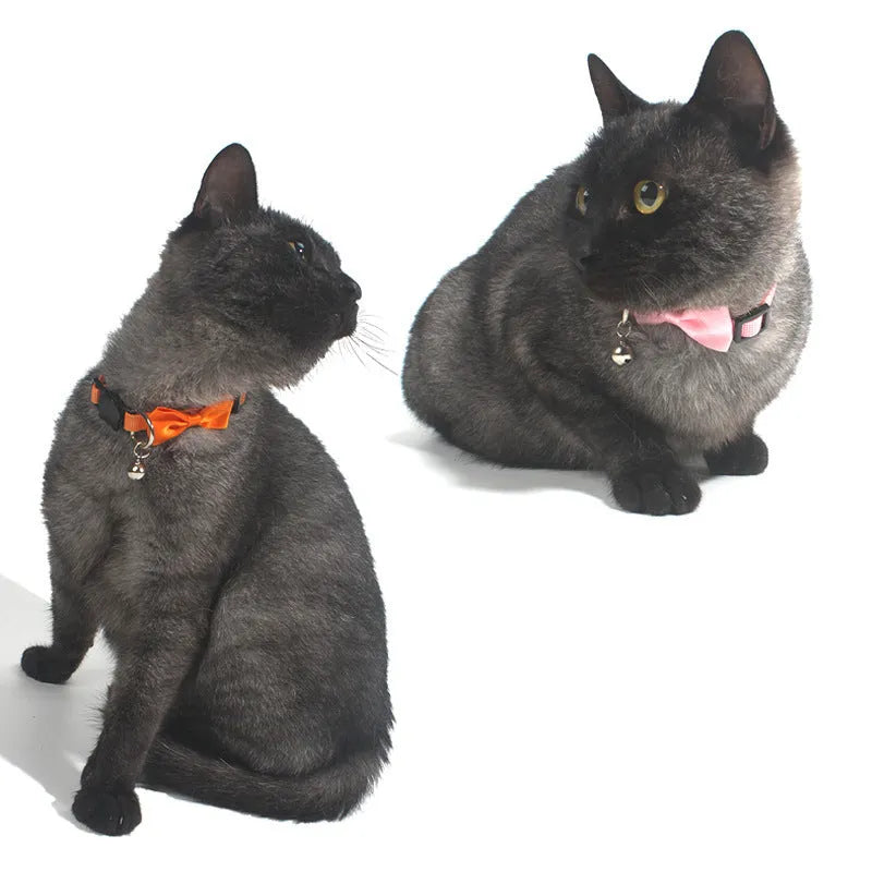 Striped multi-colour adjustable nylon cat collar with a small bell attached.