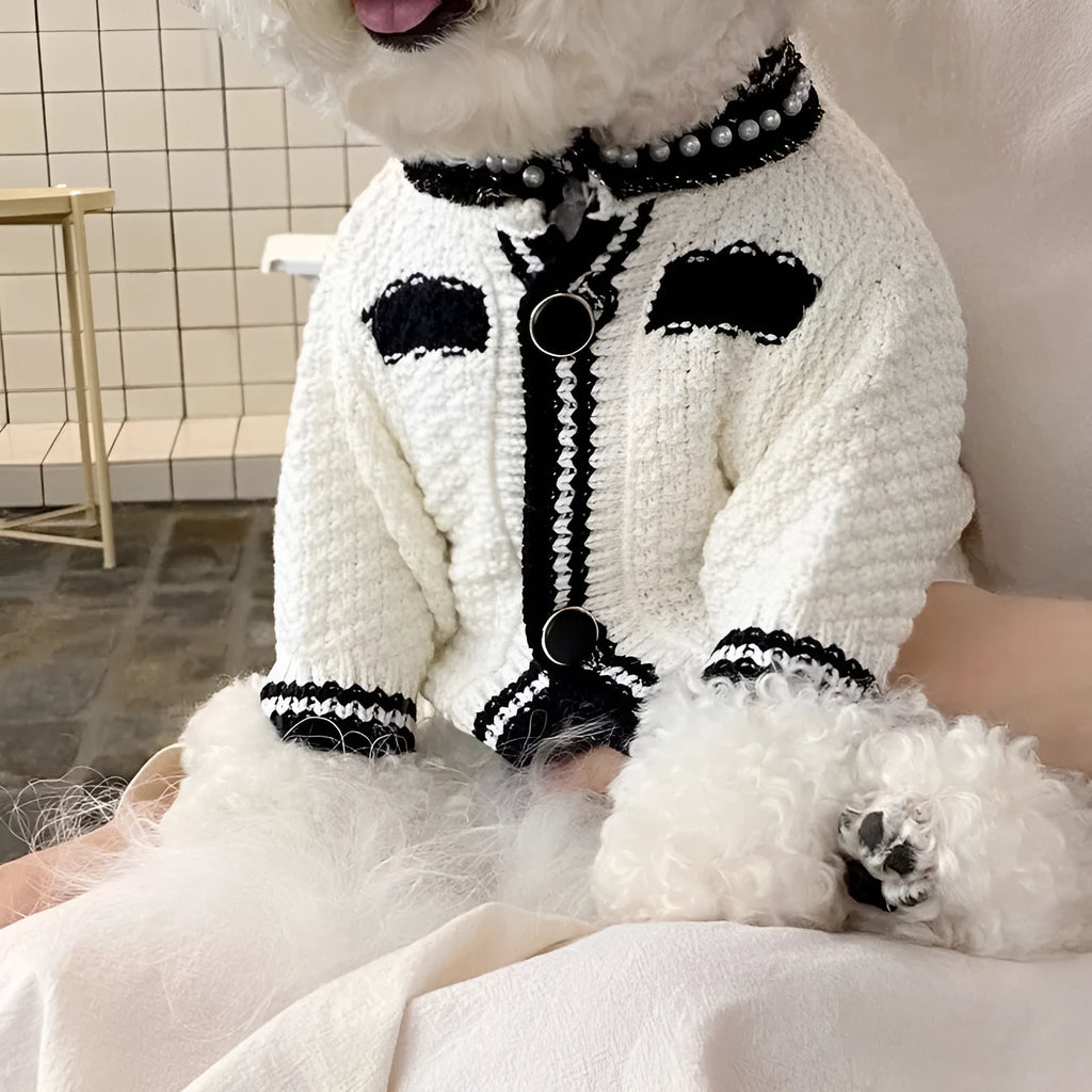 Korean style pearl collar dog sweater in black and white colours showing Princess design for small dogs