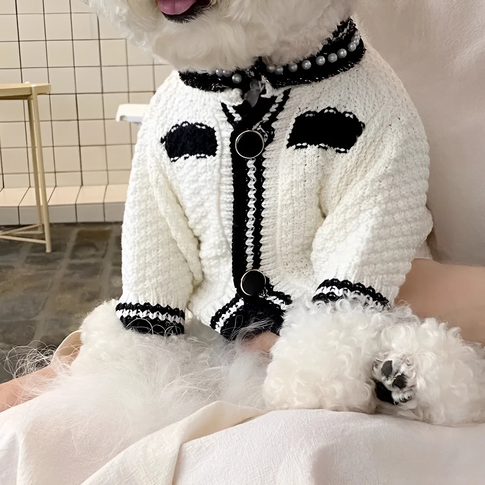 Korean style pearl collar dog sweater in black and white colours showing Princess design for small dogs