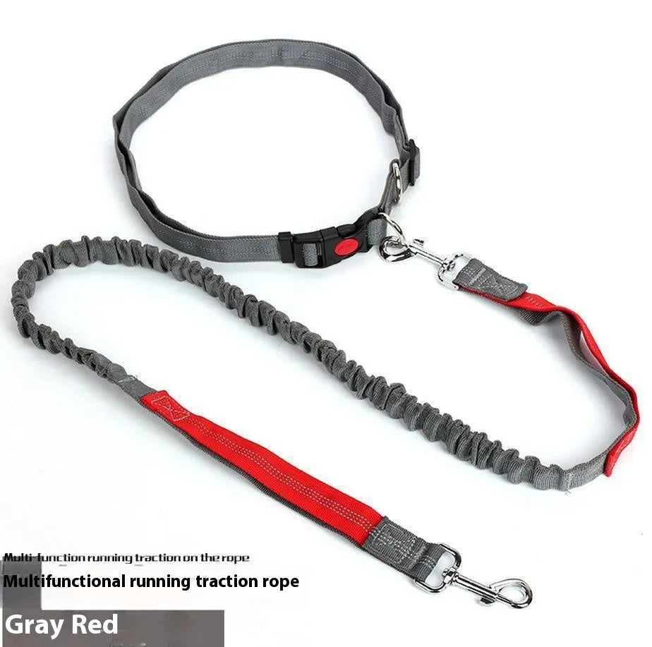 Reflective dog leash with elastic sling in two-tone colours for night walking