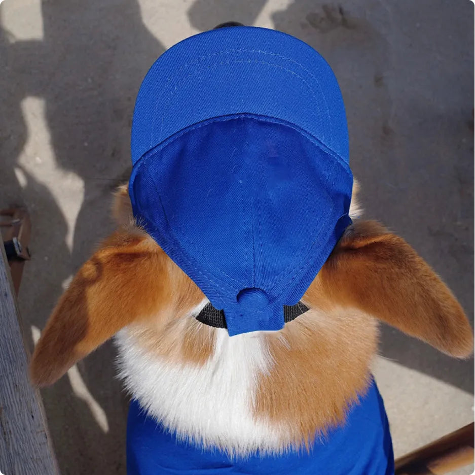 Adjustable sun-proof cotton pet baseball cap with exposed ears in apricot on dog