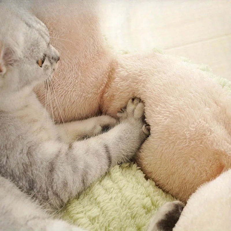 Soft green cactus-shaped pet kennel bed for cats and small dogs on a wooden floor.