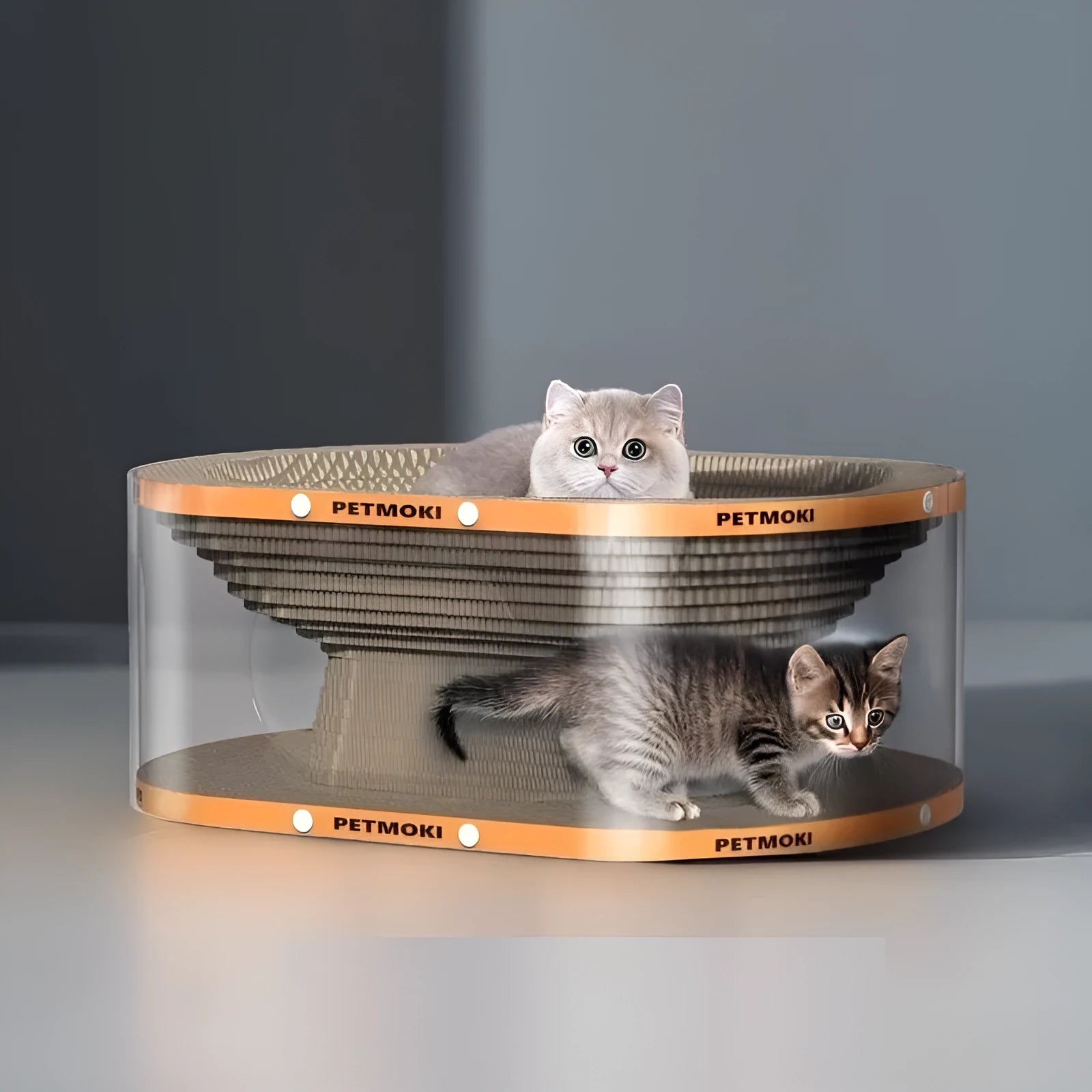 White transparent diamond pattern PVC tunnel and corrugated board cat scratch nest