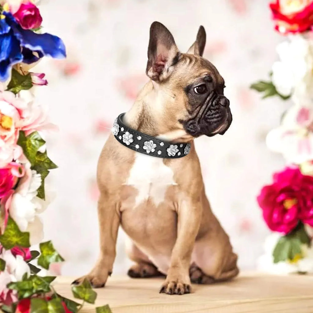 Black PU leather dog collar with sparkling rhinestone flower pattern and metal D-ring