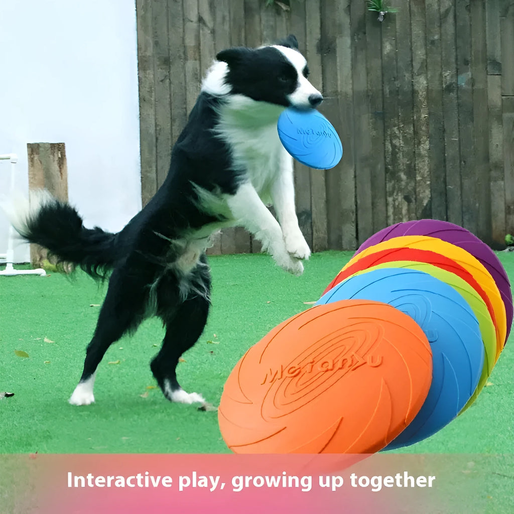 Soft rubber dog frisbee flying disc toy in red, blue, and green colours showing small, medium, and large sizes