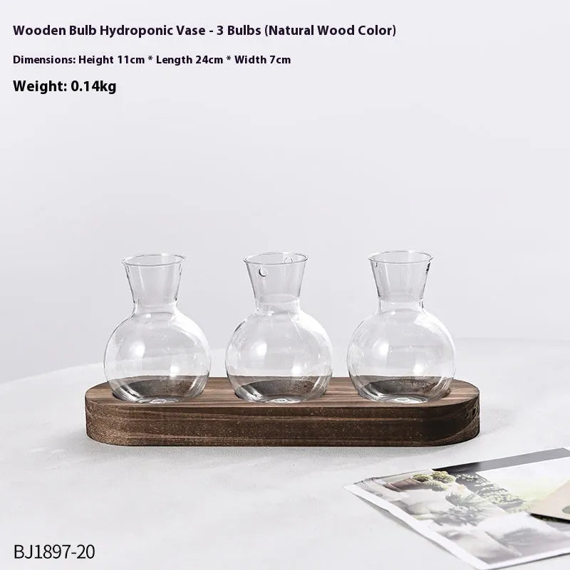 Transparent hydroponic vases in wooden frame holder for plant propagation