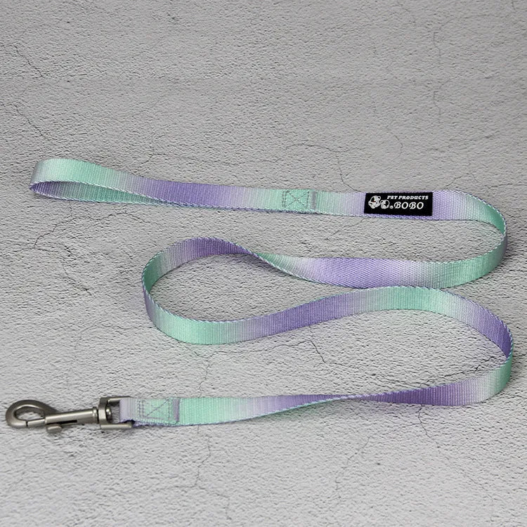Nylon dog leash and harness set in pink and blue gradient colour, showing collar, leash, and chest strap components.