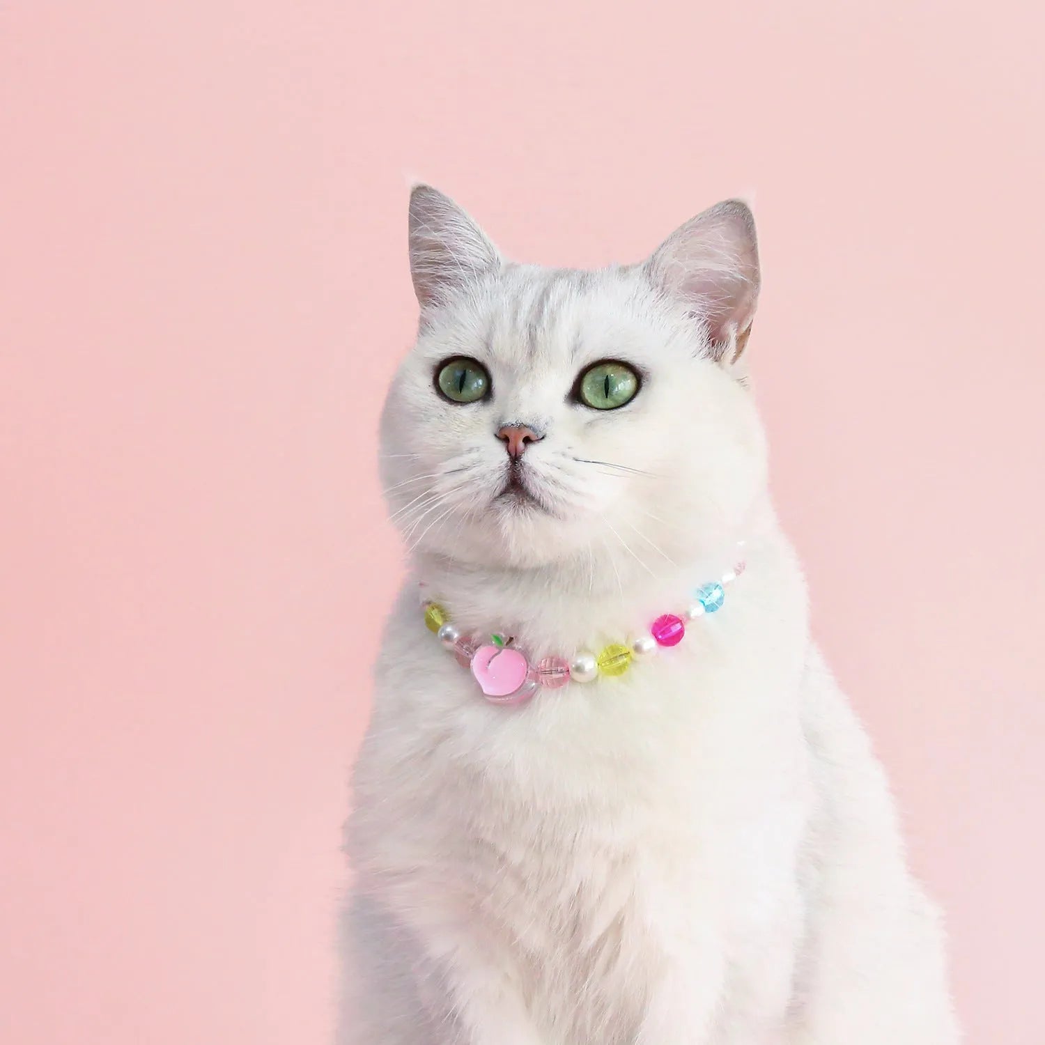 Colourful plastic bead cat necklace in small flower, rainbow, or peach design on adjustable cord.